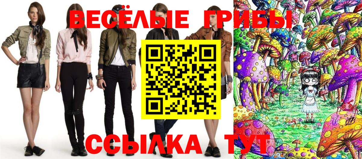 Бошки Шишки Балахна