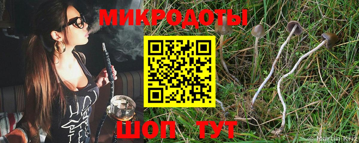 Псилоцибиновые грибы ЛСД Балахна